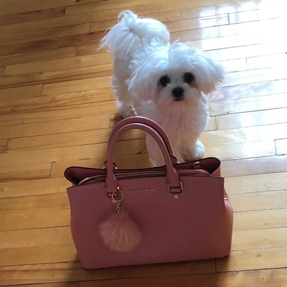 Meet your Posher, Barbara - Picture 7 of 12